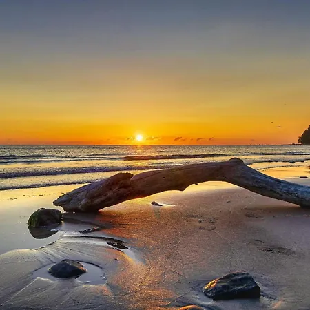 아파트 Vogelsang 9 